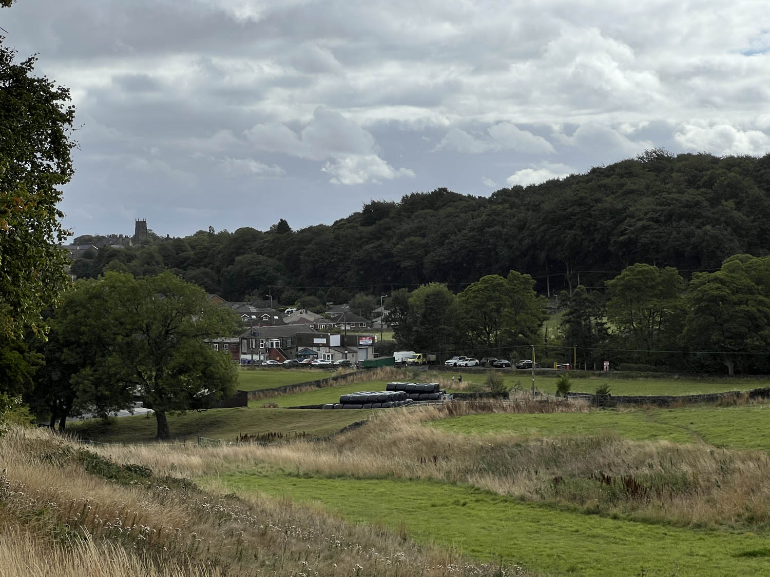 An image from the fields across from our units.